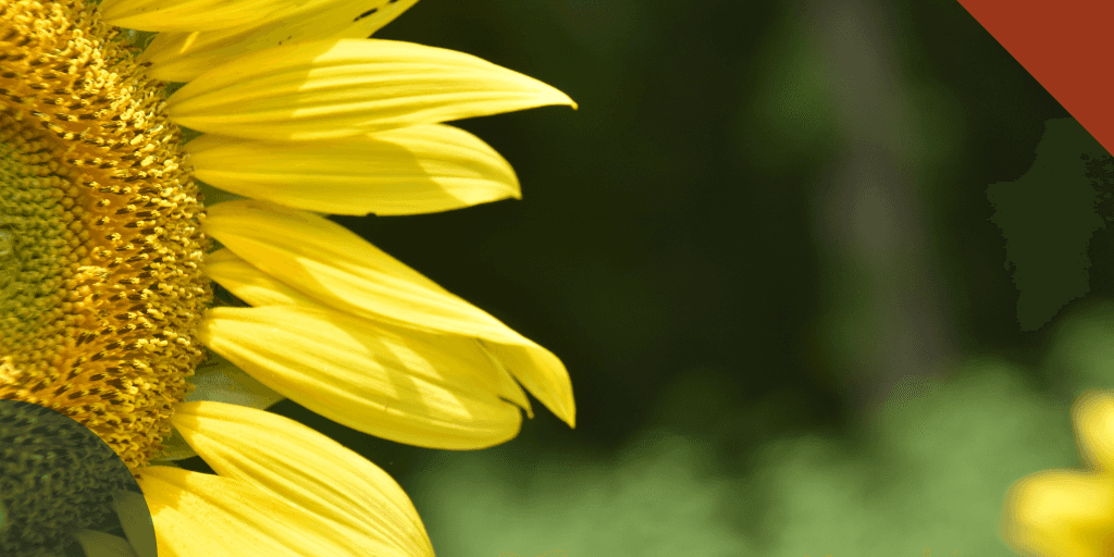 Blog post card background image.