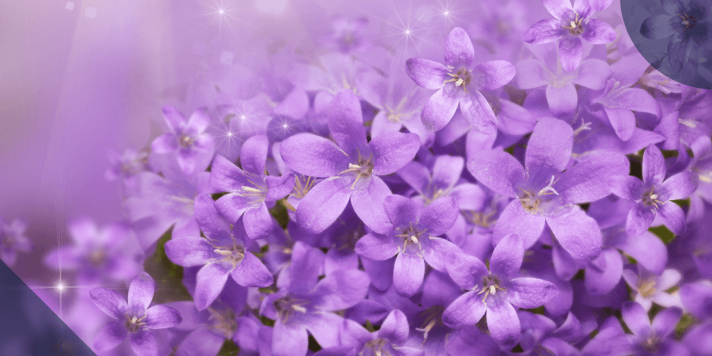 Blog post card background image.