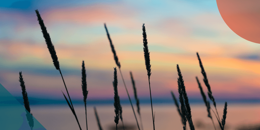 Blog post card background image.