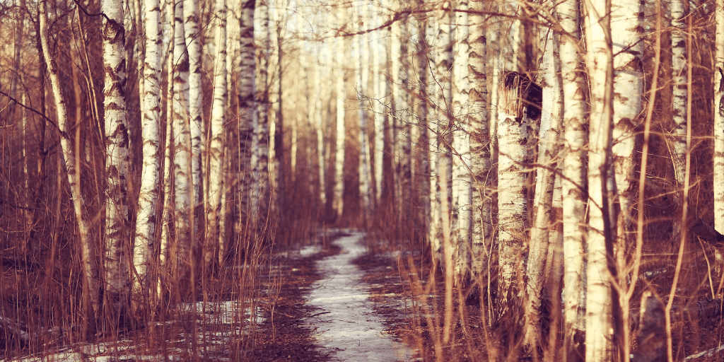 Blog post card background image.