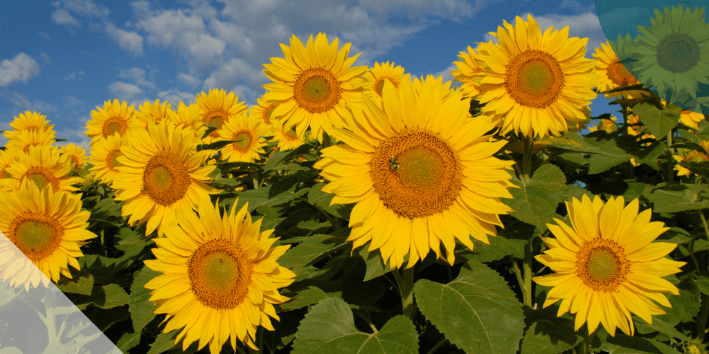 Blog post card background image.