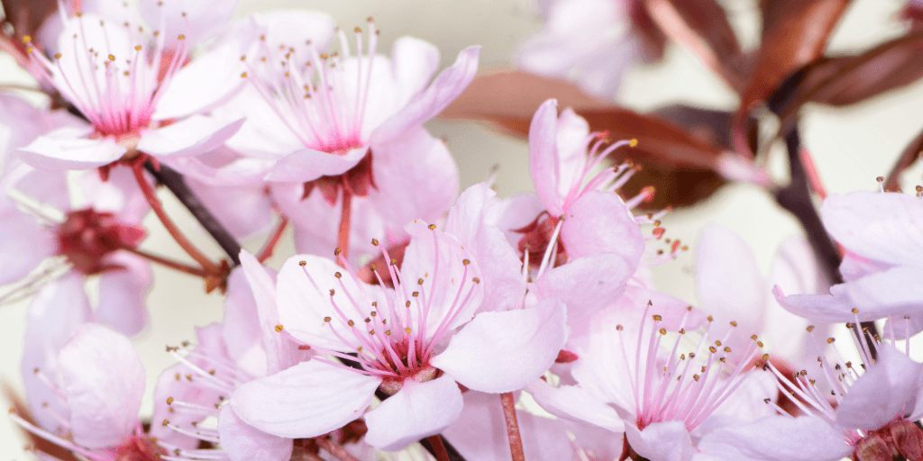 Top Drupal blog posts from May 2023 image