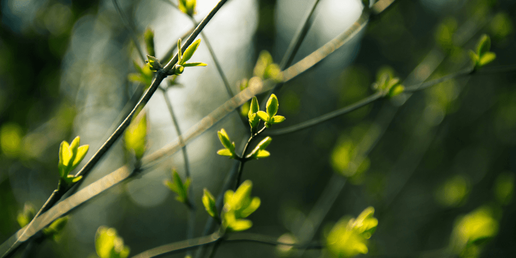 Top Drupal blog posts from March 2023 image