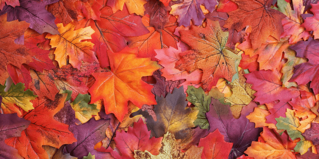 Top Drupal blog posts from November 2023 image