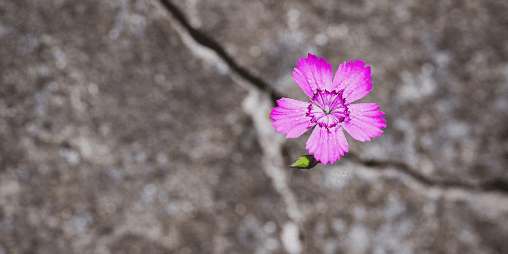 Building resilience in the face of change image