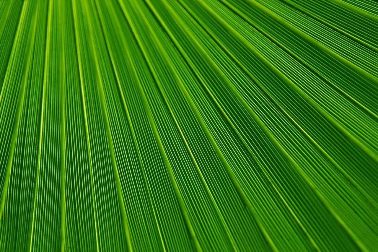 Top WordPress blog posts from April 2020 image