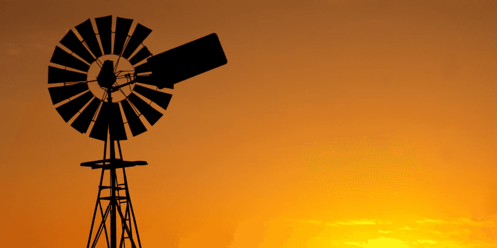 Top WordPress blog posts from July 2020 image