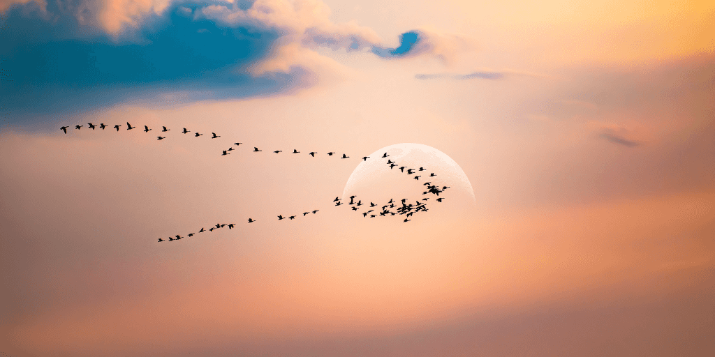 Top Drupal blog posts from August 2023 image